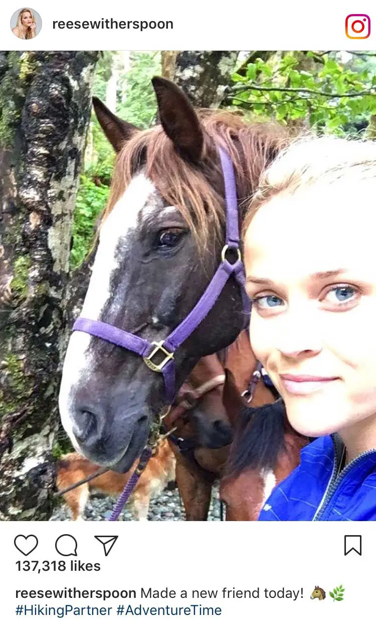 Reese Witherspoon Instagram