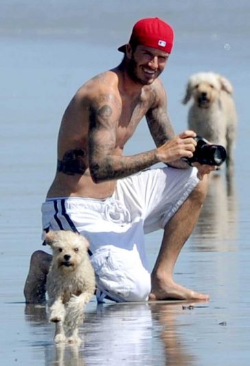 Topless David Beckham shots photos while a puppy runs past him on the beach!