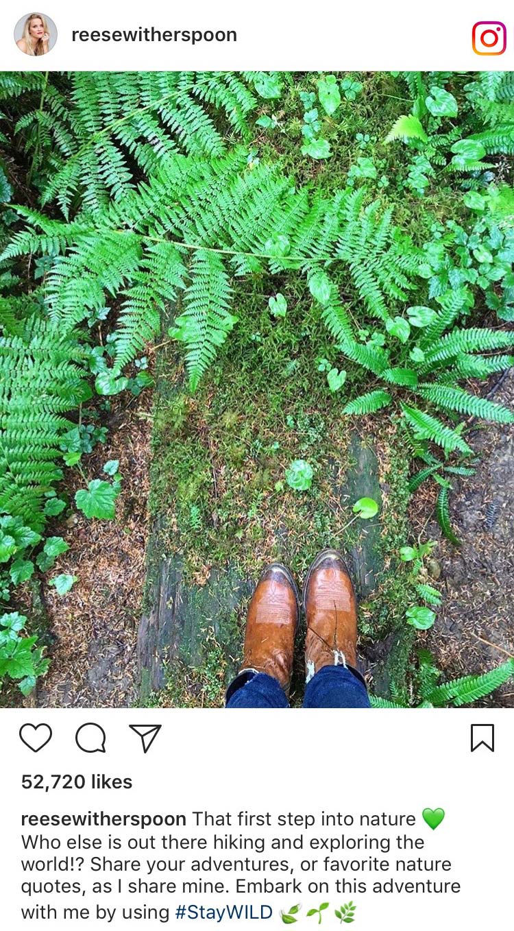 Reese Witherspoon Instagram