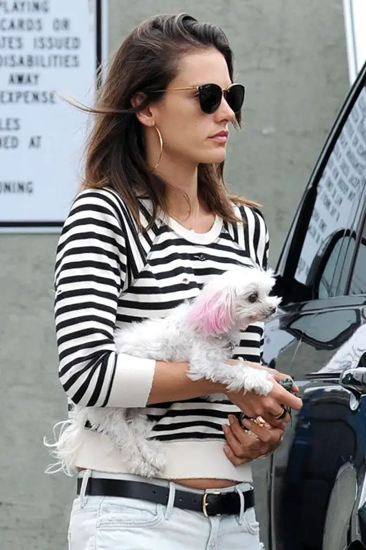 Alessandra Ambrosio Dog Ruffles