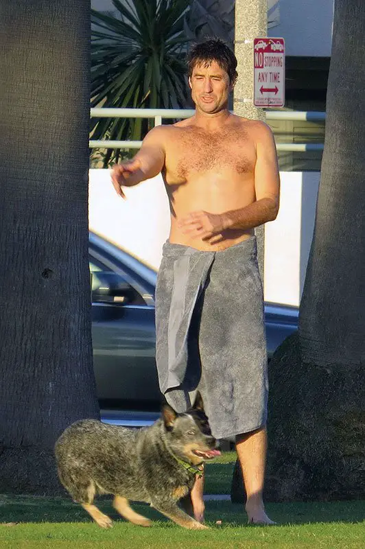Luke Wilson Topless Beach Dog