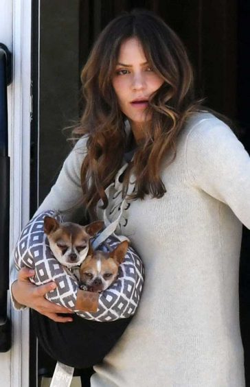 Katharine McPhee carries her adorable Chihuahuas on set of The Lost Wife of Robert Durst © Atlantic Images