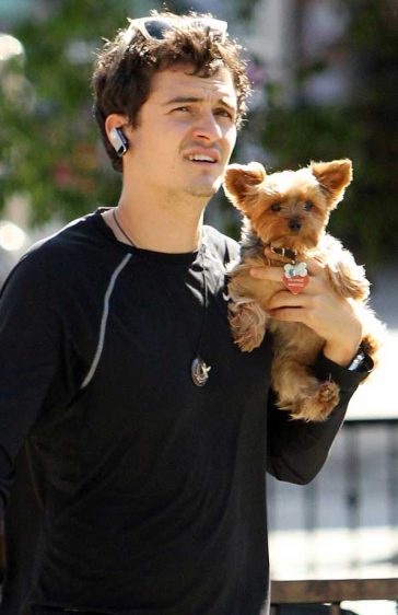 Orlando Bloom Dog Puppy Yorkshire Terrier Cute Ear Phone Ray-Ban Sunglasses Gym Gear West Hollwood