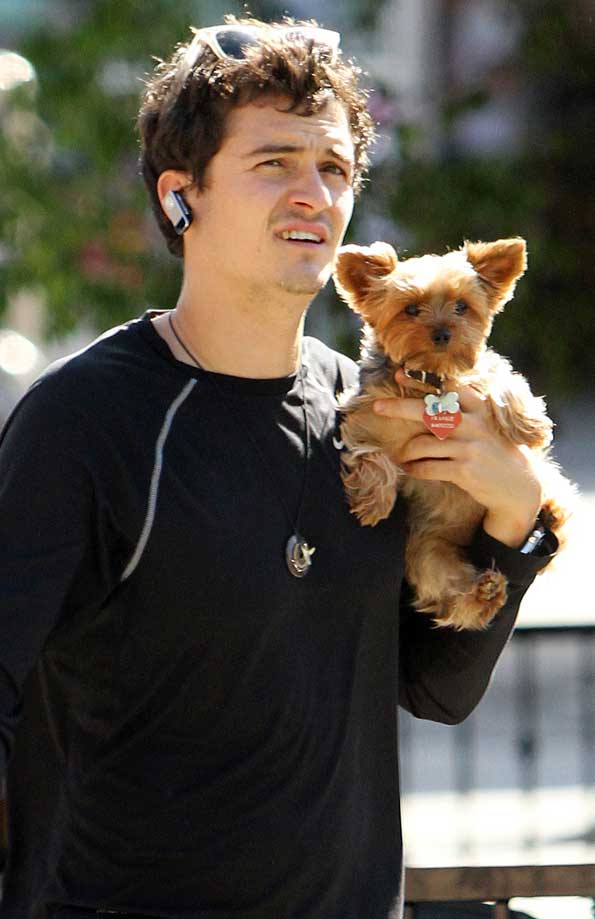 orlando bloom puppy orlando bloom puppy adorable celebrity wotnot orlando bloom puppy orlando bloom puppy adorable celebrity wotnot