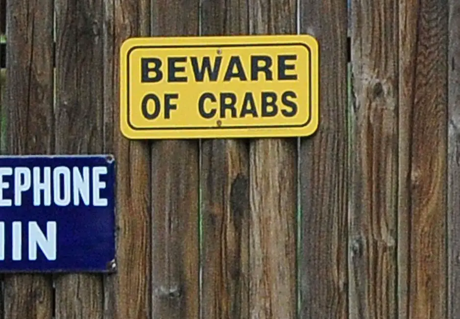 Beware of the Crabs sign Carie Fisher Debbie Reynolds Billie Lourd Los Angles Home Estate with funny signs