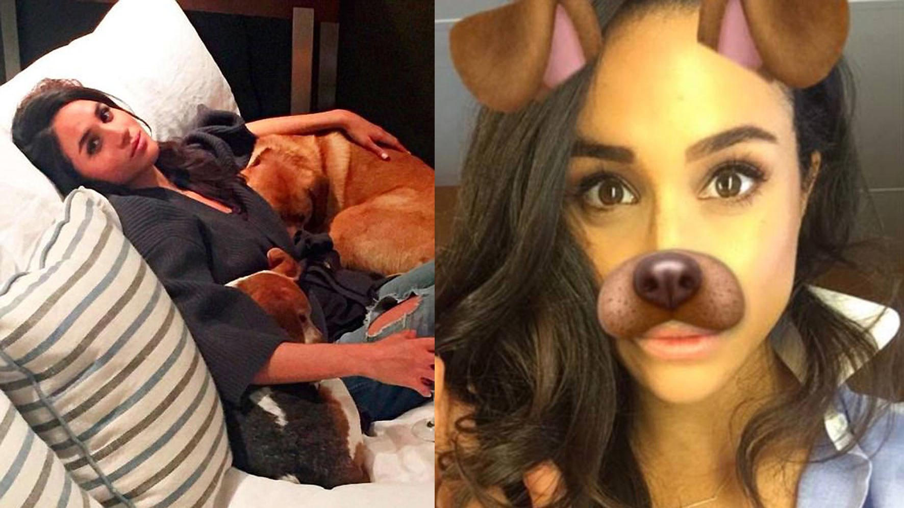 Meghan likes her dogs and even posted this funny Snapchat picture of her with doggy ears and a nose - Photo courtesy of @meghanmarkle / Instagram
