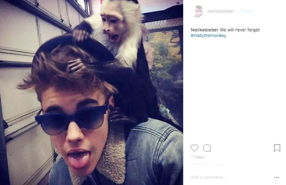 Justin Bieber with his pet monkey Mally! - Photo Courtesy of Instagram