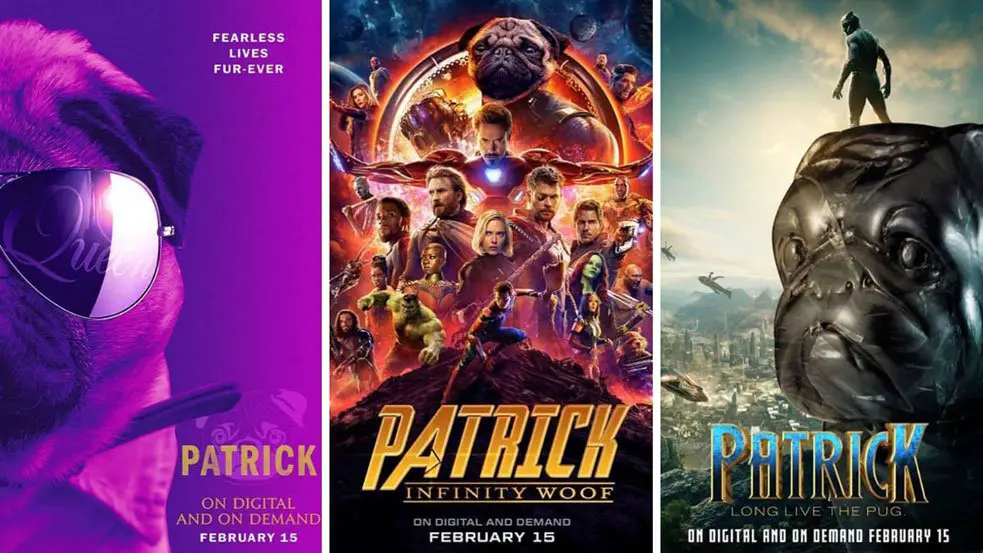 "Fearless Lives Fur-Ever"! Bohemian Rhapsody, Black Panther and Avengers: Infinity Woof (!) are three new films featuring Patrick the Pug! - Photos courtesy of Instagram