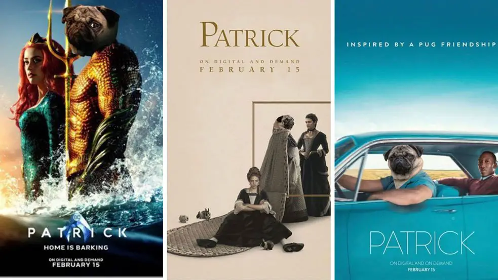 "Home is Barking" and "Inspired By A Pug Friendship" are two new taglines for Patrick the Pug! - Photos courtesy of Instagram