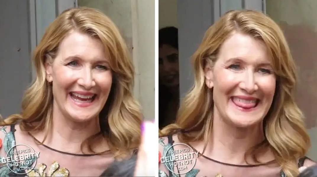 Laura Dern looked animated as she left the Vanity Fair Big Little Lies 2 interview in Manhattan © Atlantic Images