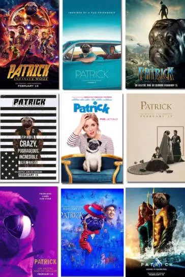 "Home is Barking" and "Inspired By A Pug Friendship" are two new taglines for Patrick the Pug! - Photos courtesy of Instagram