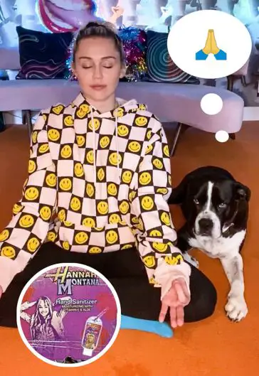 Mindfulness ✨ + music ? + puppies ? = pure joy ? Miley Cyrus promoting her Miley Cyrus’ Mindful Moments on IGTV - Photo courtesy of @MileyCyrus / Instagram