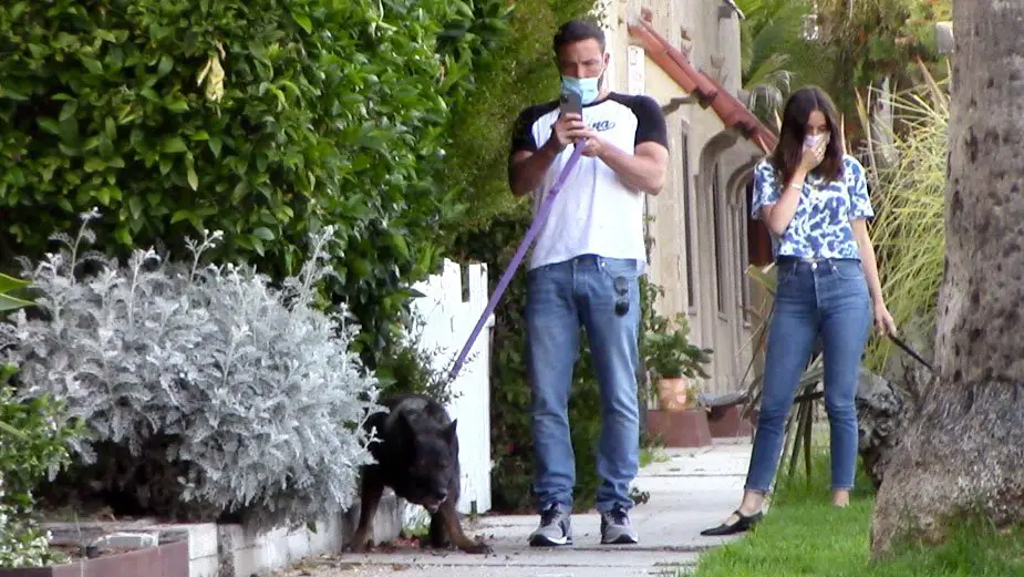 Ben Affleck and girlfriend Ana de Armas walked their dogs in Los Angeles