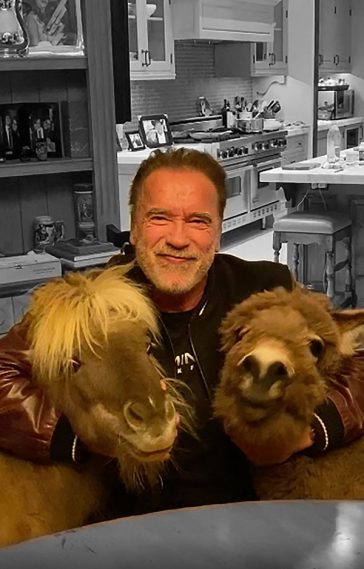 Arnold Schwarzenegger posed up with his pet Donkey Lulu and Pet Pony Whisky! Photo Courtesy of Instagram / @schwarzenegger