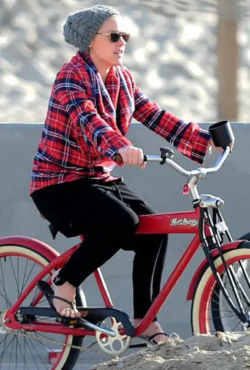 Pink's Peddle Power! The singer was spotted cycling down Venice beach in a shirt that matched her beach cruiser