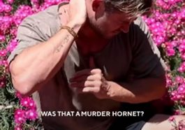 "Was that a Murder Hornet?" asks Centrfit's Chris Hemsworth - Photo courtesy of @centrfitofficial / TikTok