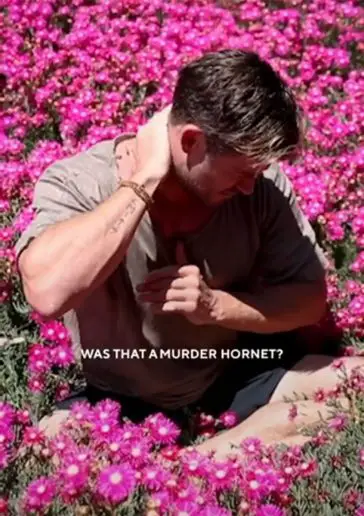 "Was that a Murder Hornet?" asks Centrfit's Chris Hemsworth - Photo courtesy of @centrfitofficial / TikTok