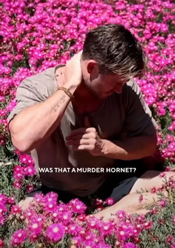 "Was that a Murder Hornet?" asks Centrfit's Chris Hemsworth - Photo courtesy of @centrfitofficial / TikTok
