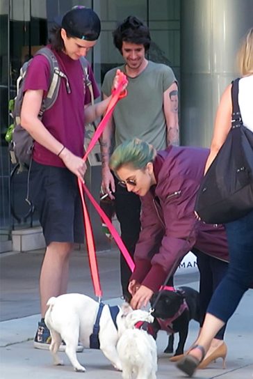 Lady Gaga pets her French Bulldogs Gustav and Miss Asia with their dog walker in Vancouver, Canada